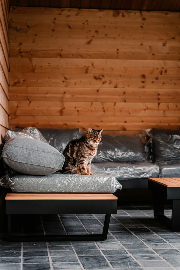 Obrazek wyróżniający Hello World